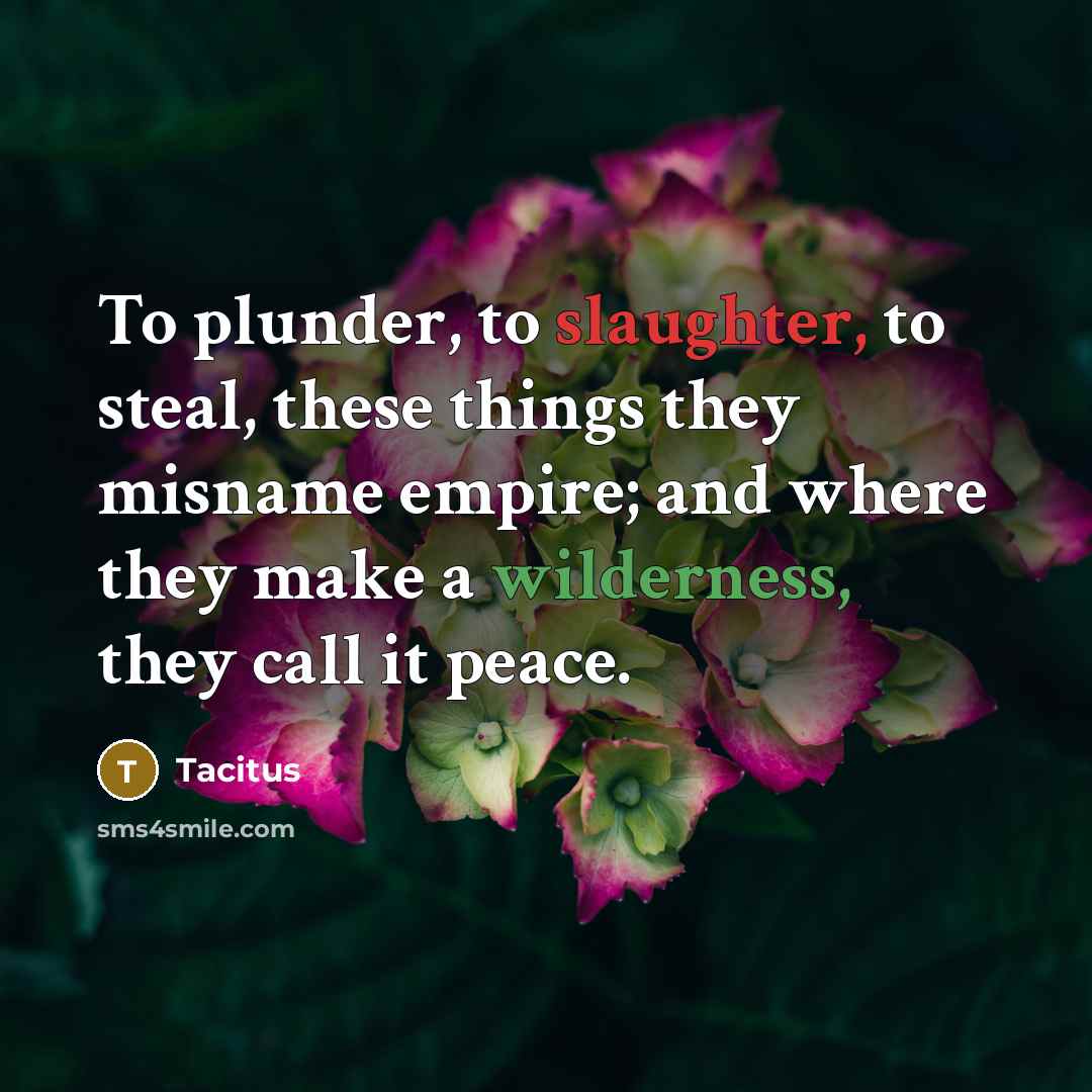 “To plunder, to slaughter, to steal, these things they misname empire; and where they make a wilderness, they call it peace.” quote by Tacitus