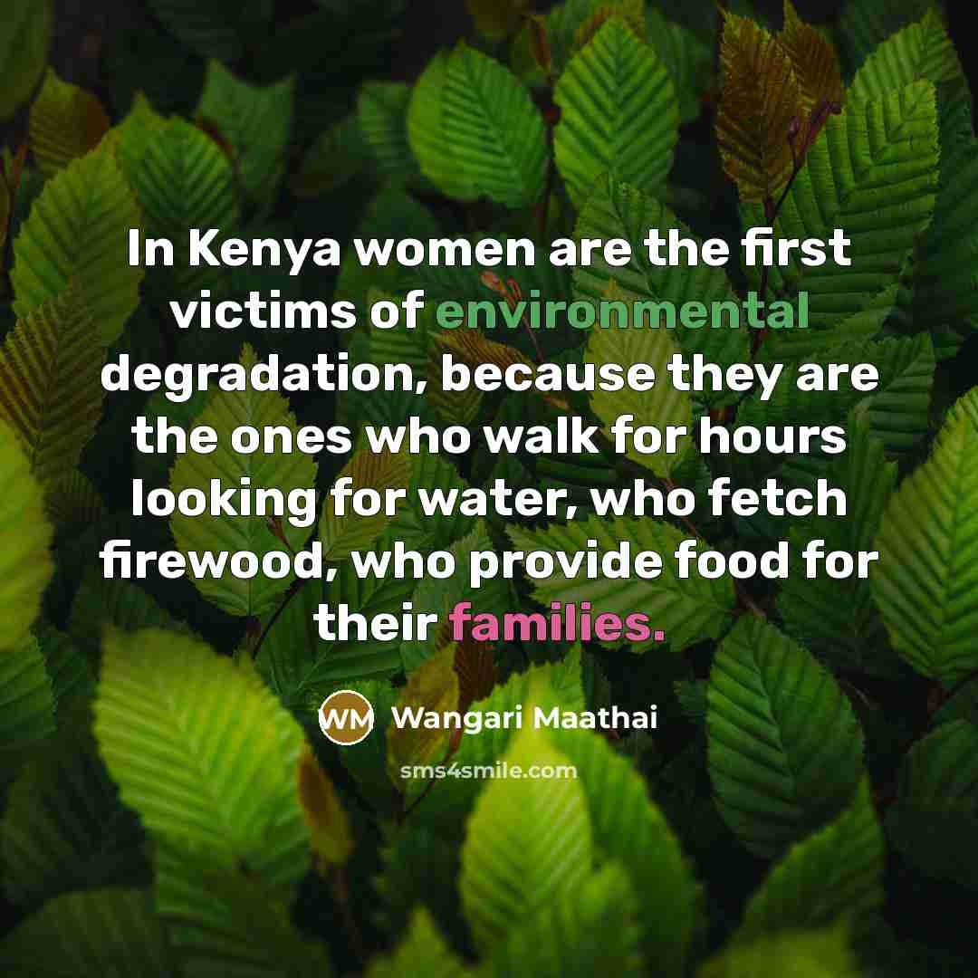 “In Kenya women are the first victims of environmental degradation,…” quote by Wangari Maathai