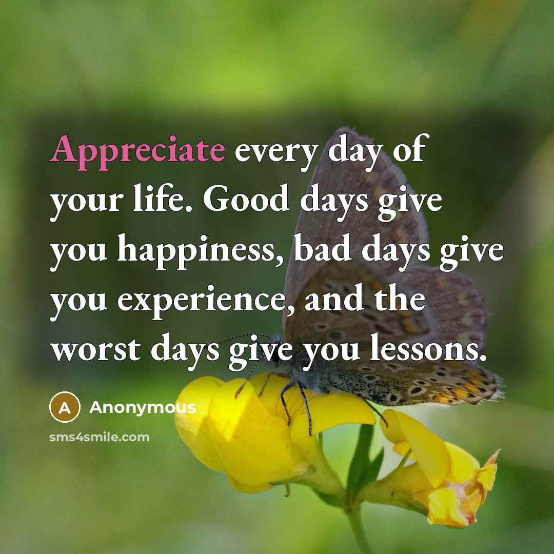 “Appreciate every day of your life. Good days give you…” quote by Anonymous