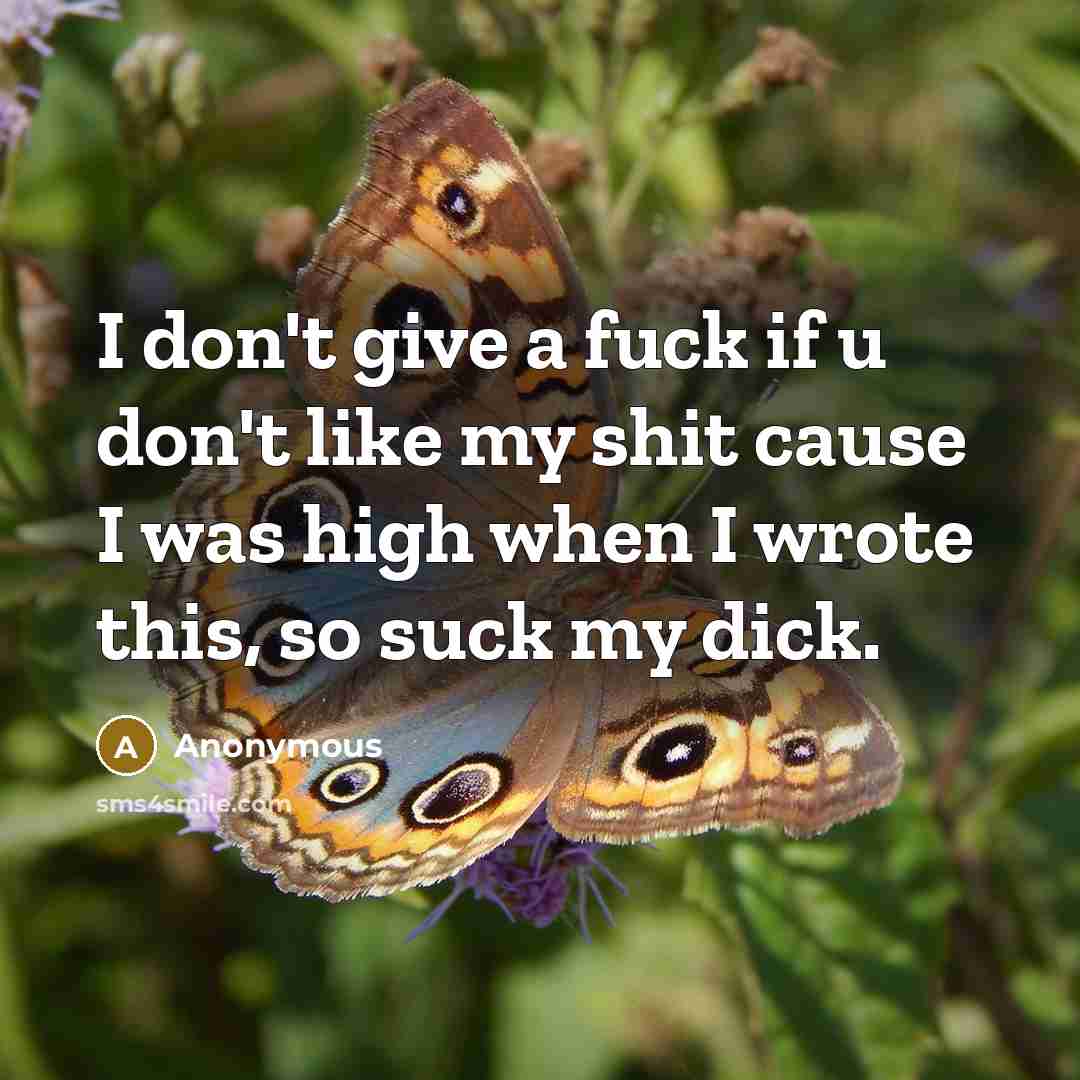 “I don't give a fuck if u don't like my shit cause I was high when I wrote this, so suck my dick.” quote by Anonymous