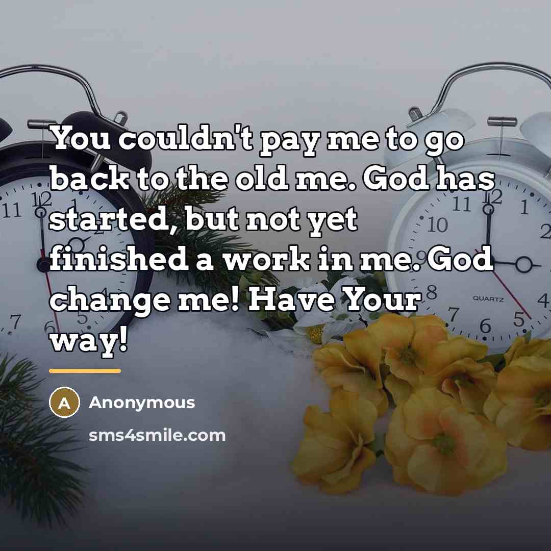 “You couldn't pay me to go back to the old…” quote by Anonymous