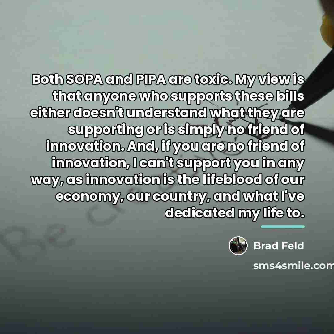 “Both SOPA and PIPA are toxic. My view is that…” quote by Brad Feld