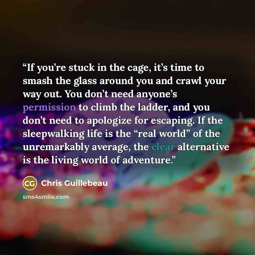 “If you’re stuck in the cage, it’s time to smash the glass around you and crawl your way out. You don’t need anyone’s permission to climb the ladder, and you don’t need to apologize for escaping. If the sleepwalking life is the “real world” of the unremarkably average, the clear alternative is the…” quote by Chris Guillebeau
