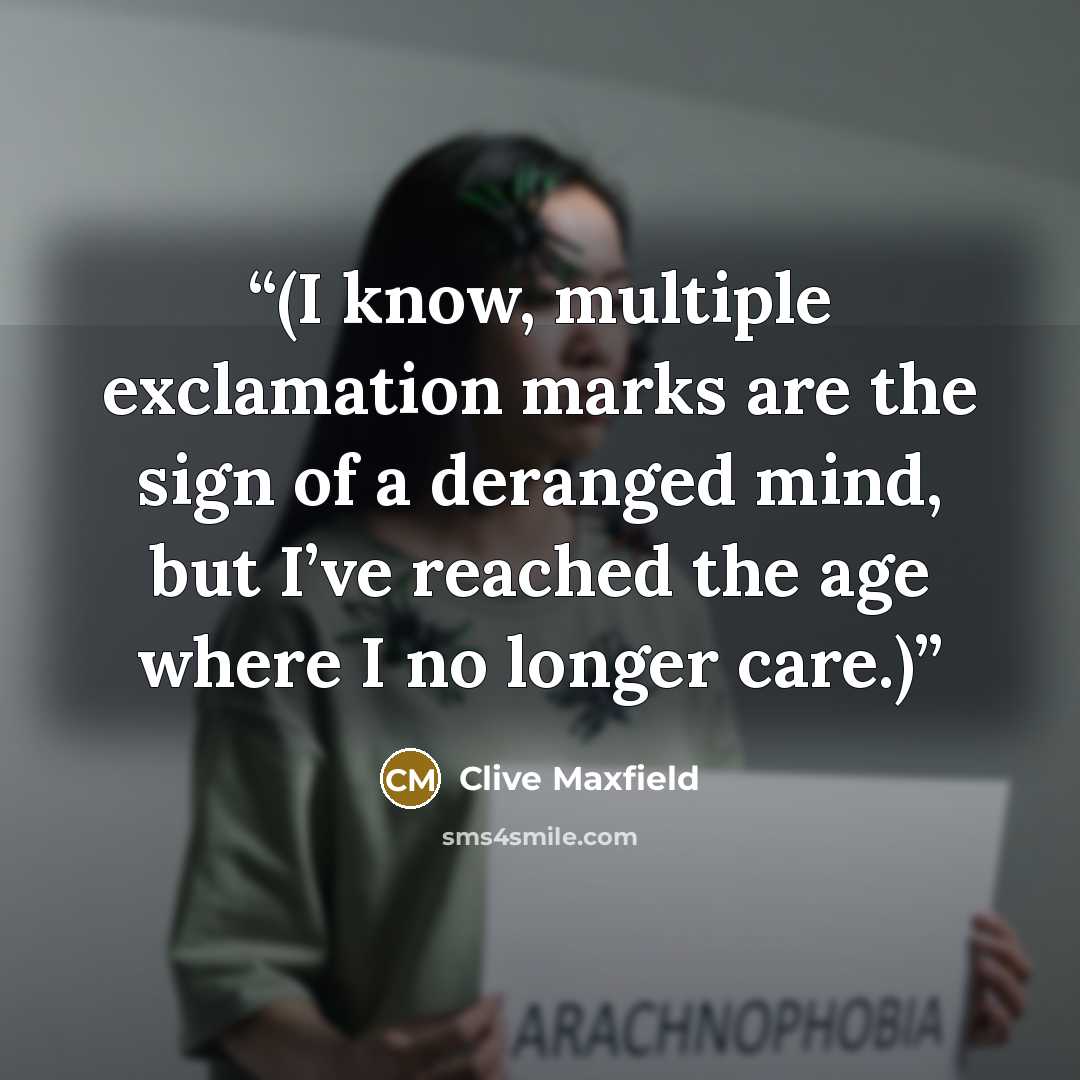 “(I know, multiple exclamation marks are the sign of a deranged mind, but I’ve reached the age where I no longer care.)” quote by Clive Maxfield