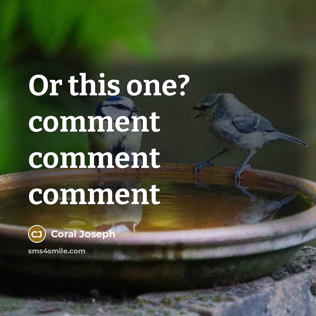 “Or this one? comment comment comment” quote by Coral Joseph