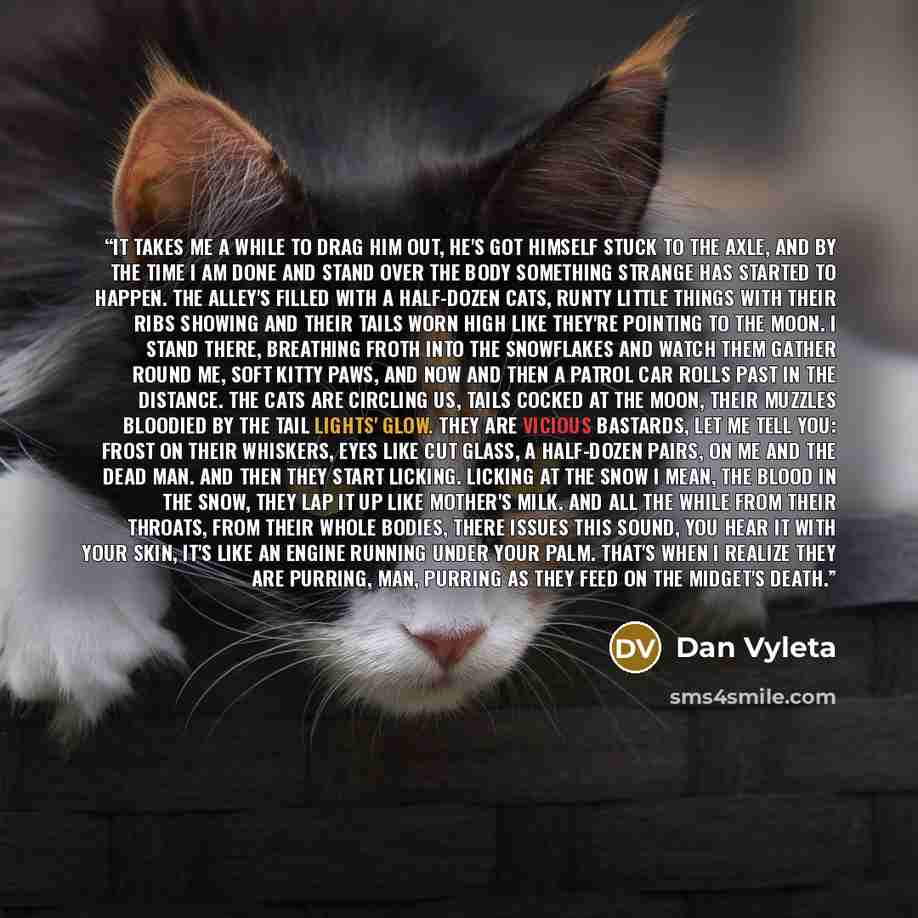 “It takes me a while to drag him out, he's got himself stuck to the axle, and by the time I am done and stand over the body something strange has started to happen. The alley's filled with a half-dozen cats, runty little things with their ribs showing and their tails worn high like they're pointing…” quote by Dan Vyleta