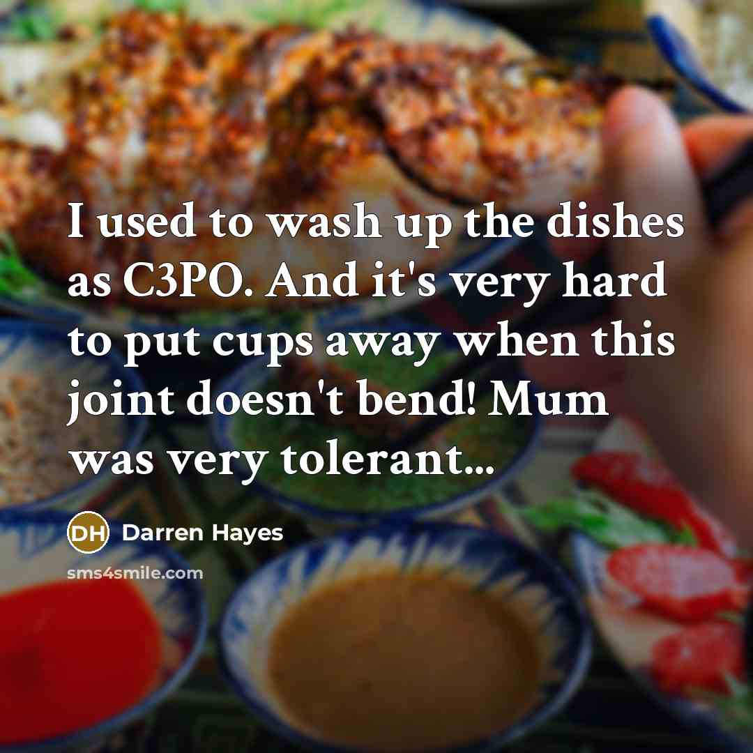 “I used to wash up the dishes as C3PO. And…” quote by Darren Hayes