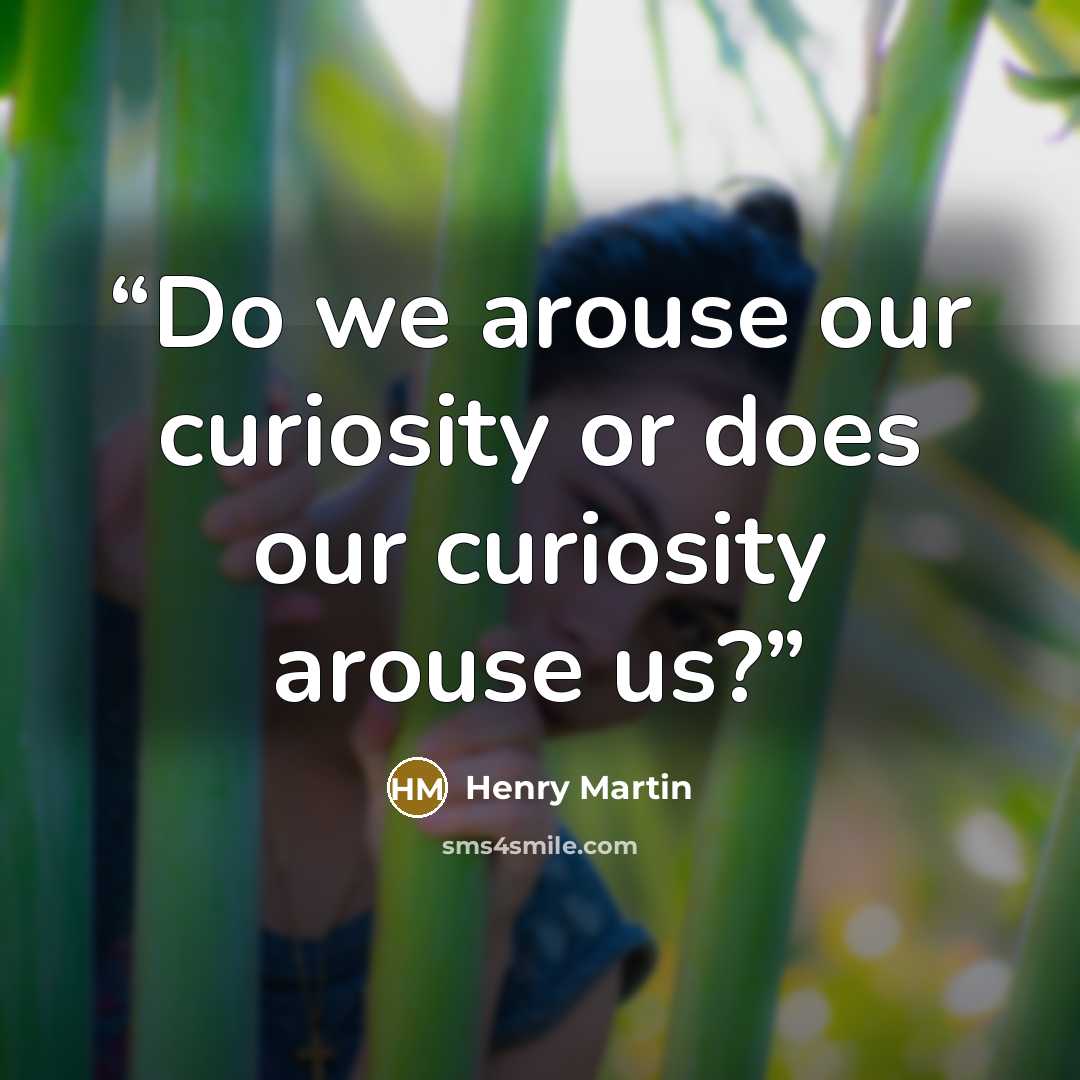 “Do we arouse our curiosity or does our curiosity arouse us?” quote by Henry Martin