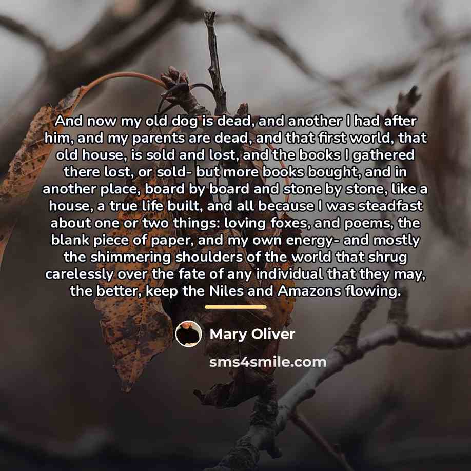 “And now my old dog is dead, and another I…” quote by Mary Oliver