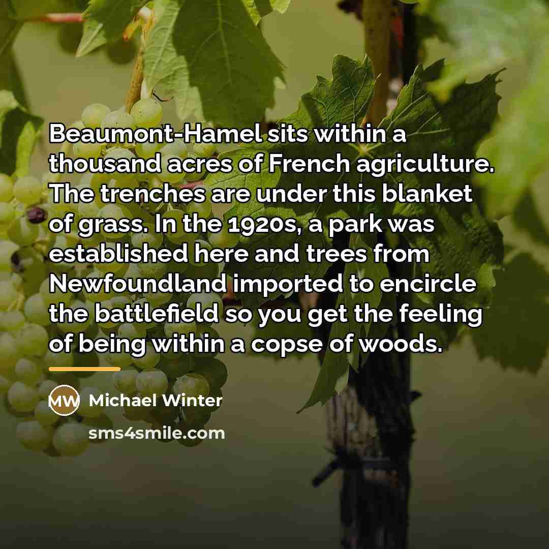 “Beaumont-Hamel sits within a thousand acres of French agriculture. The…” quote by Michael Winter