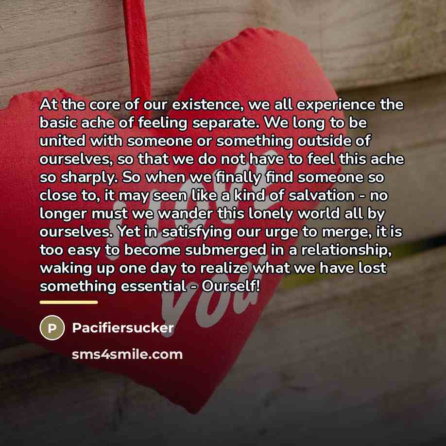 “At the core of our existence, we all experience the…” quote by Pacifiersucker