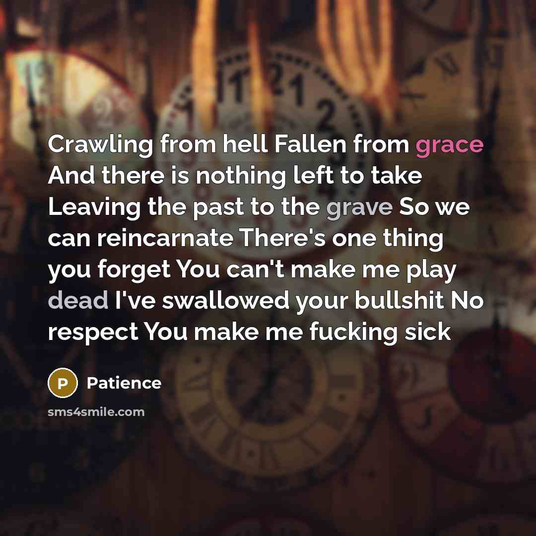 “Crawling from hell Fallen from grace And there is nothing left to take Leaving the past to the grave So we can reincarnate There's one thing you forget You can't make me play dead I've swallowed your bullshit No respect You make me fucking sick” quote by Patience