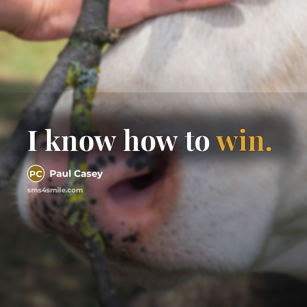 “I know how to win.…” quote by Paul Casey
