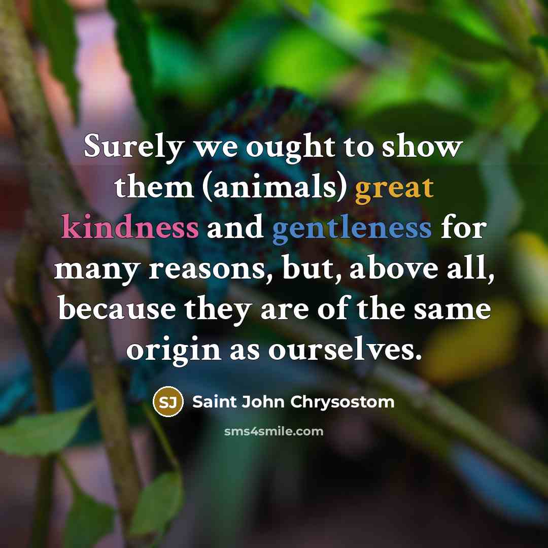 “Surely we ought to show them (animals) great kindness and…” quote by Saint John Chrysostom