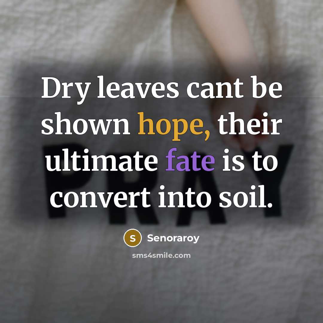 “Dry leaves cant be shown hope, their ultimate fate is…” quote by Senoraroy