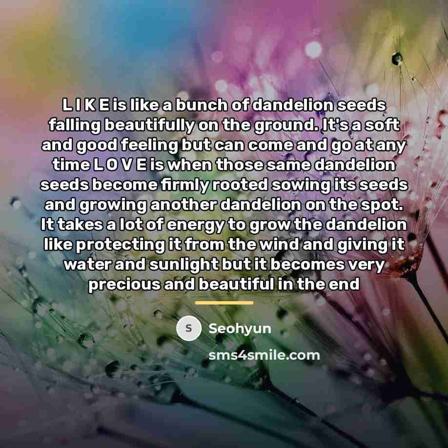 “L I K E is like a bunch of dandelion…” quote by Seohyun