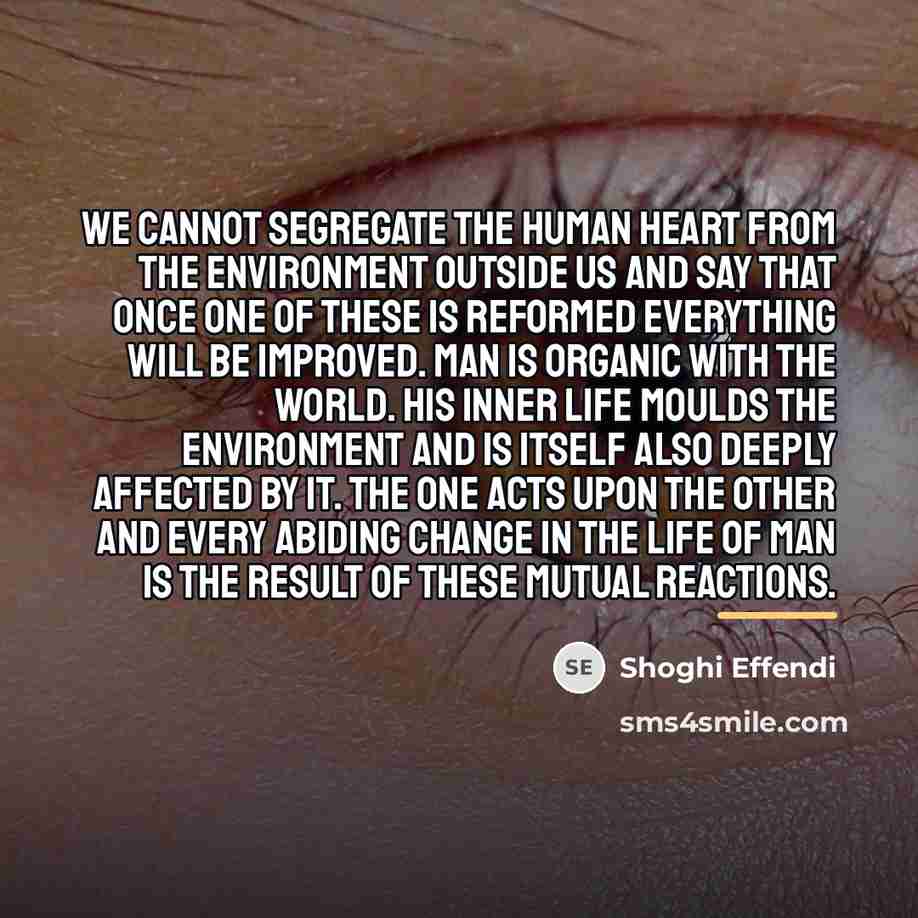 “We cannot segregate the human heart from the environment outside…” quote by Shoghi Effendi
