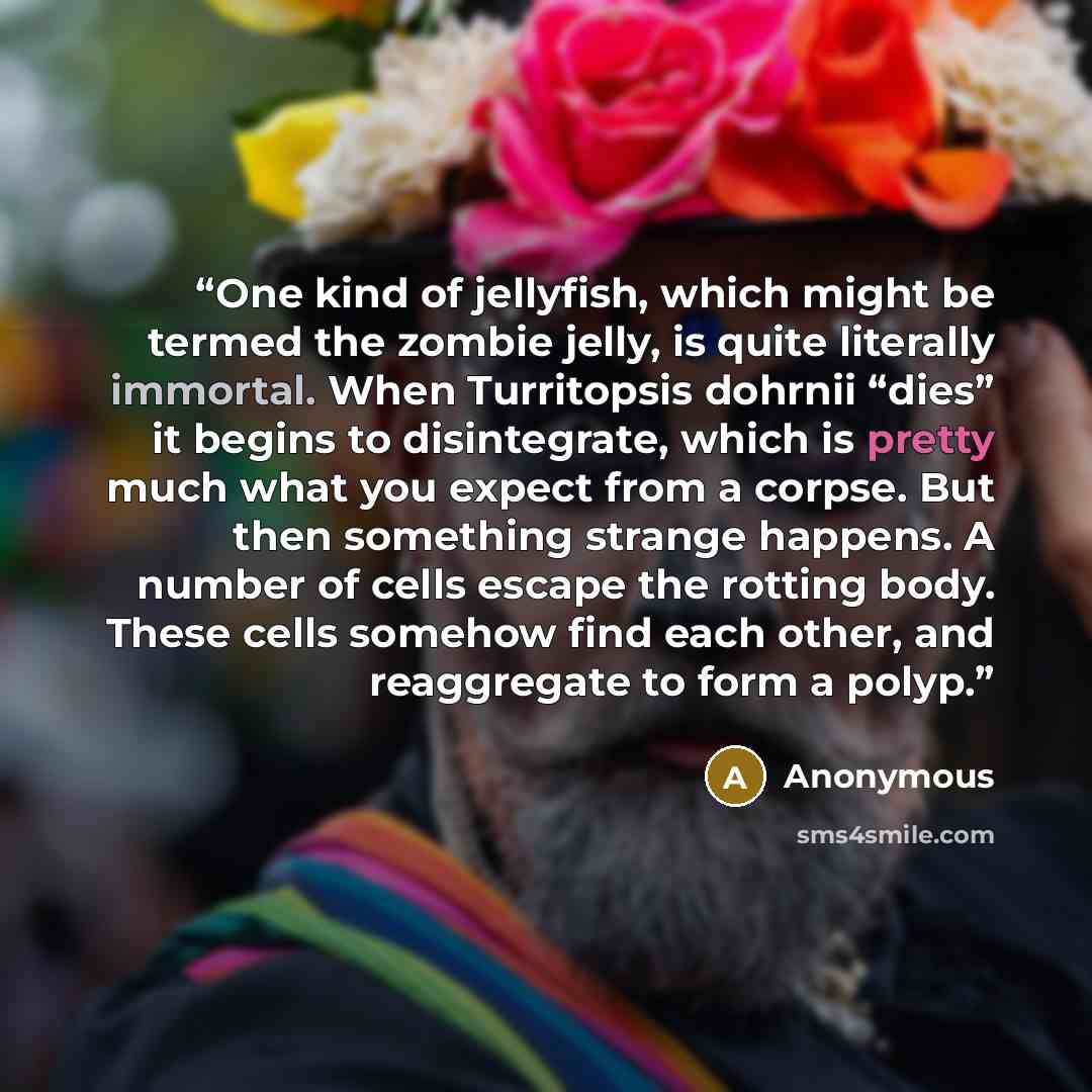 “One kind of jellyfish, which might be termed the zombie jelly, is quite literally immortal. When Turritopsis dohrnii “dies” it begins to disintegrate, which is pretty much what you expect from a corpse. But then something strange happens. A number of cells escape the rotting body. These cells…” quote by Anonymous