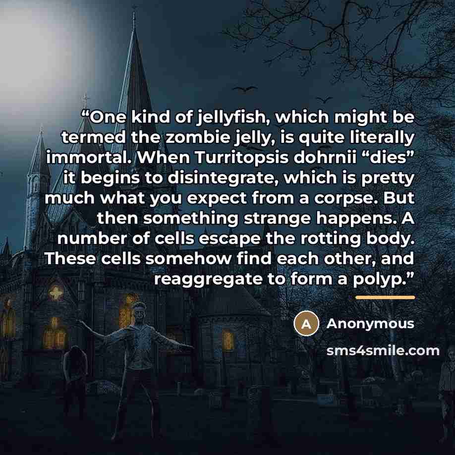 “One kind of jellyfish, which might be termed the zombie jelly, is quite literally immortal. When Turritopsis dohrnii “dies” it begins to disintegrate, which is pretty much what you expect from a corpse. But then something strange happens. A number of cells escape the rotting body. These cells…” quote by Anonymous