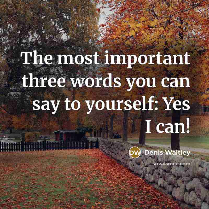 “The most important three words you can say to yourself:…” quote by Denis Waitley
