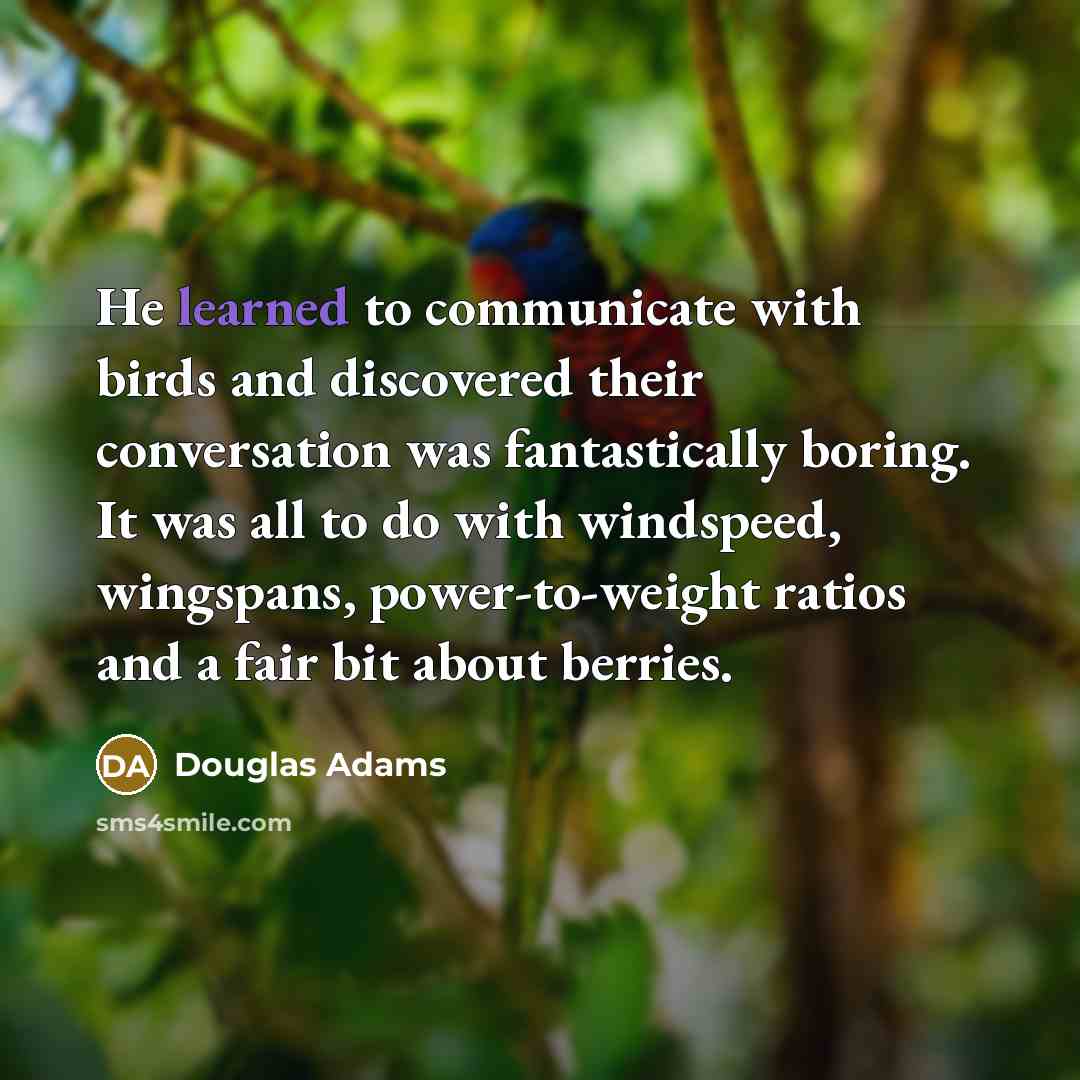 “He learned to communicate with birds and discovered their conversation…” quote by Douglas Adams