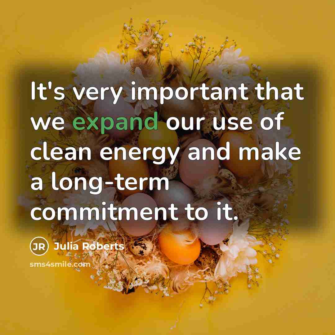 “It's very important that we expand our use of clean…” quote by Julia Roberts