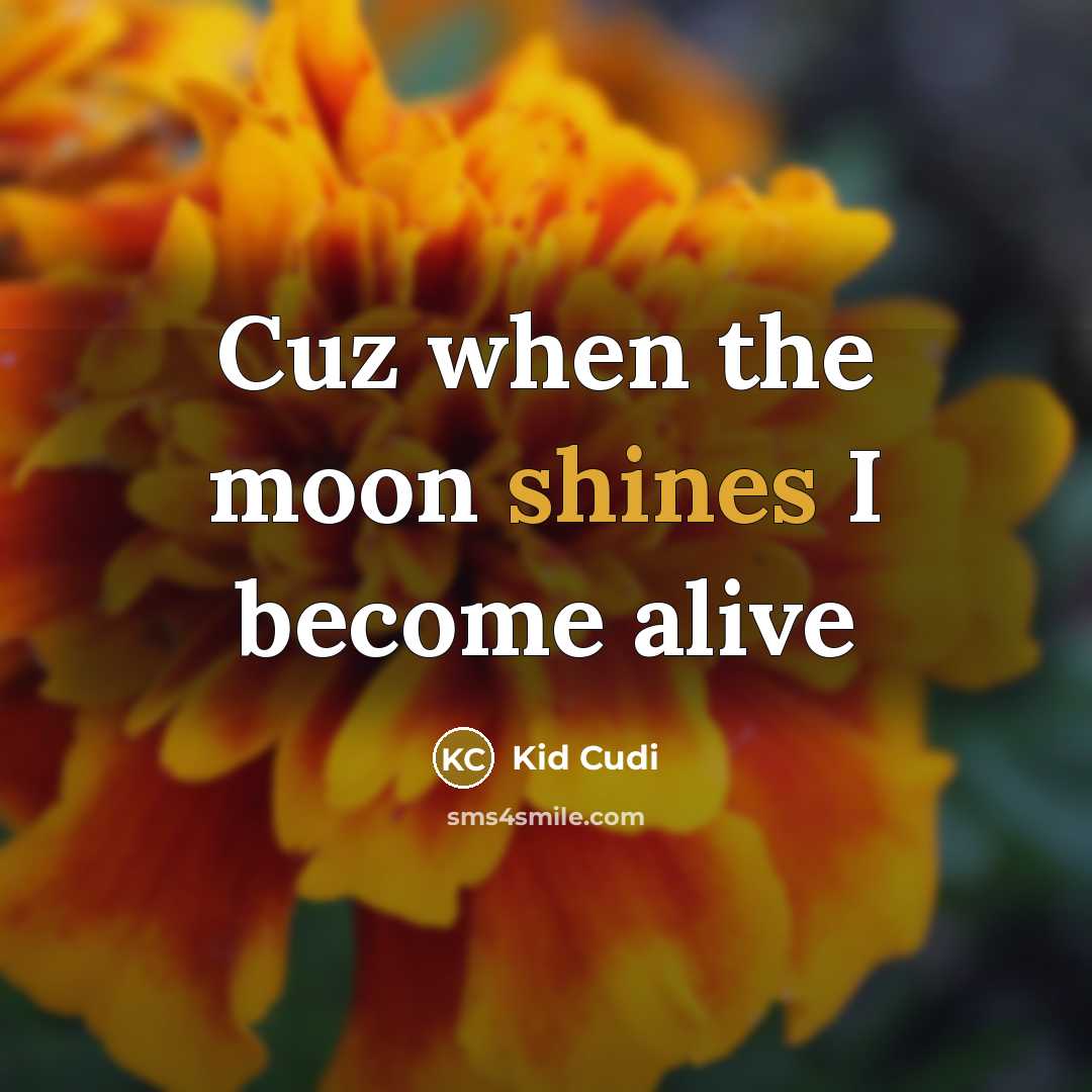 “Cuz when the moon shines I become alive” quote by Kid Cudi