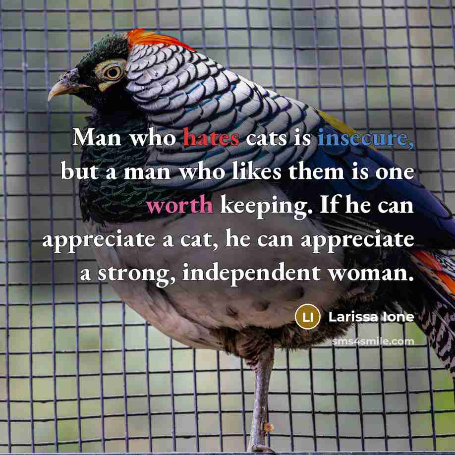 “Man who hates cats is insecure, but a man who…” quote by Larissa Ione
