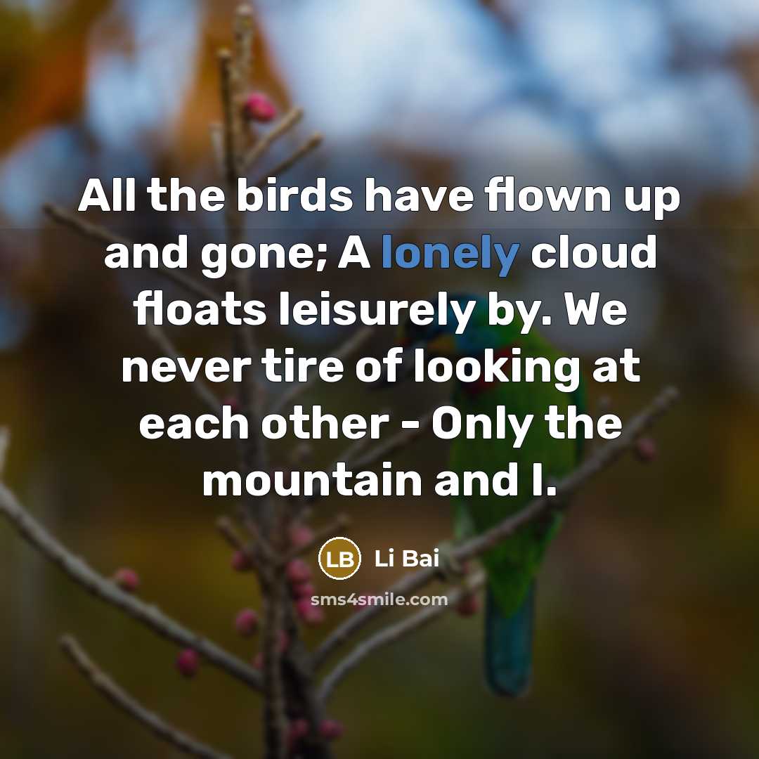 “All the birds have flown up and gone; A lonely…” quote by Li Bai