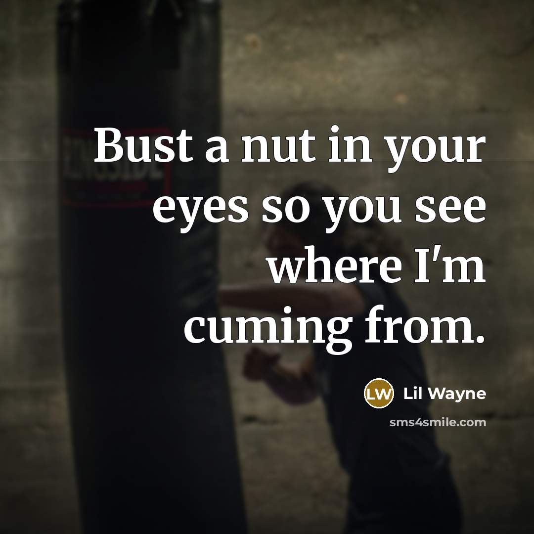 “Bust a nut in your eyes so you see where…” quote by Lil Wayne
