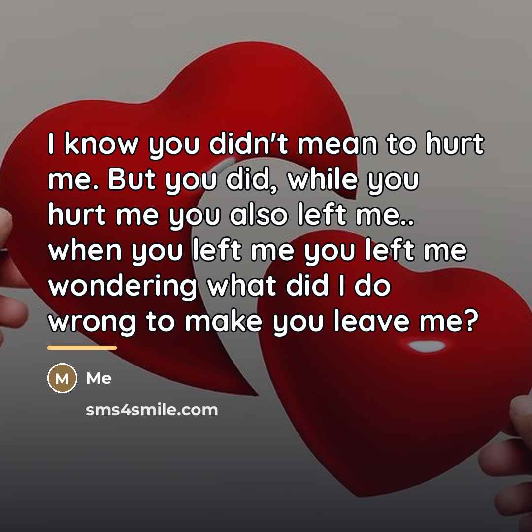 “I know you didn't mean to hurt me. But you…” quote by Me