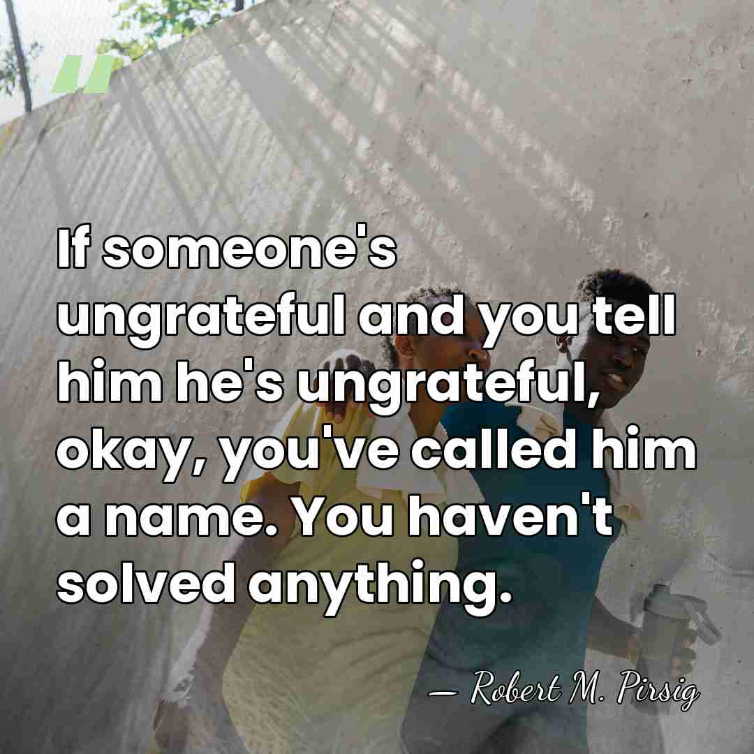 If someone's ungrateful and you tell him he's ungrateful, okay, you've called&hellip; - Robert M. Pirsig