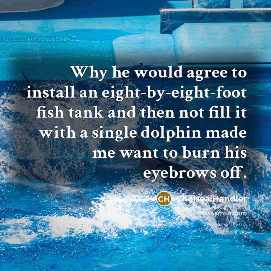 “Why he would agree to install an eight-by-eight-foot fish tank…” quote by Chelsea Handler