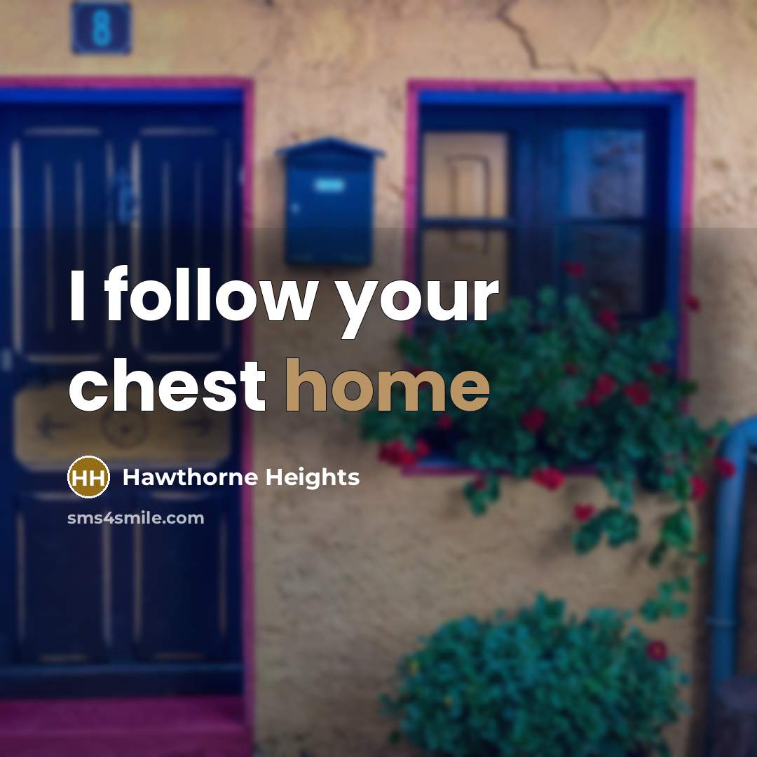 “I follow your chest home” quote by Hawthorne Heights