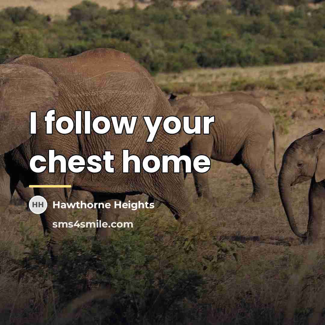“I follow your chest home…” quote by Hawthorne Heights