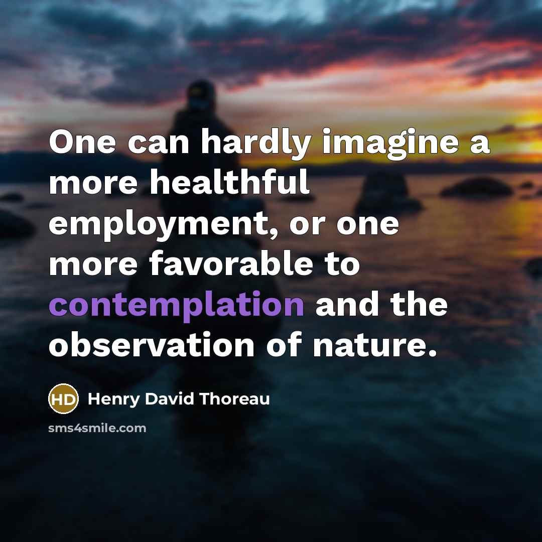 “One can hardly imagine a more healthful employment, or one…” quote by Henry David Thoreau
