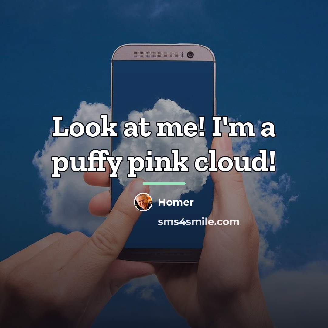 “Look at me! I'm a puffy pink cloud!…” quote by Homer