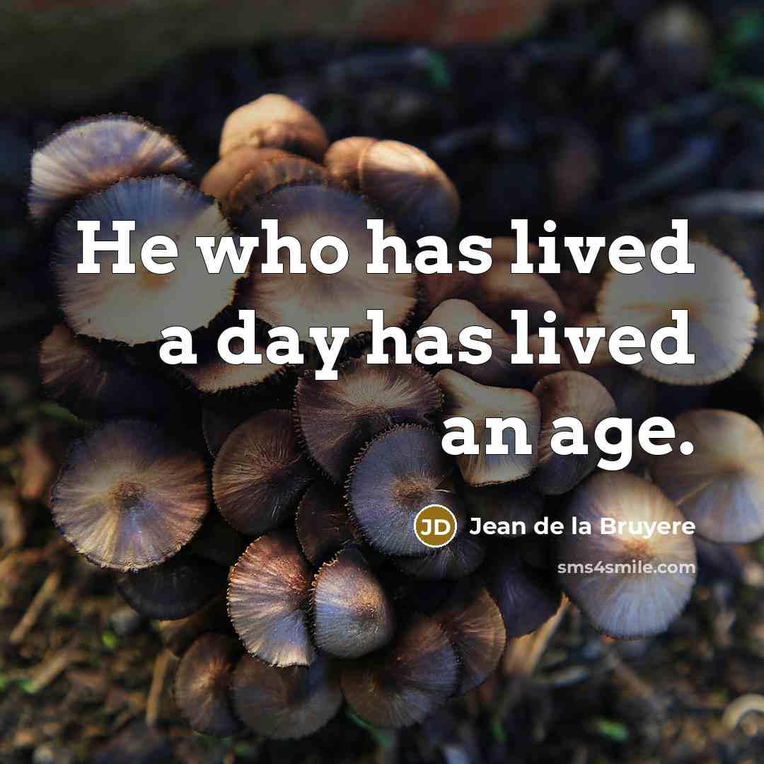 “He who has lived a day has lived an age.…” quote by Jean de la Bruyere
