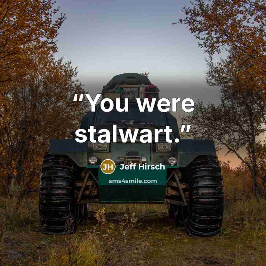 “You were stalwart.” quote by Jeff Hirsch