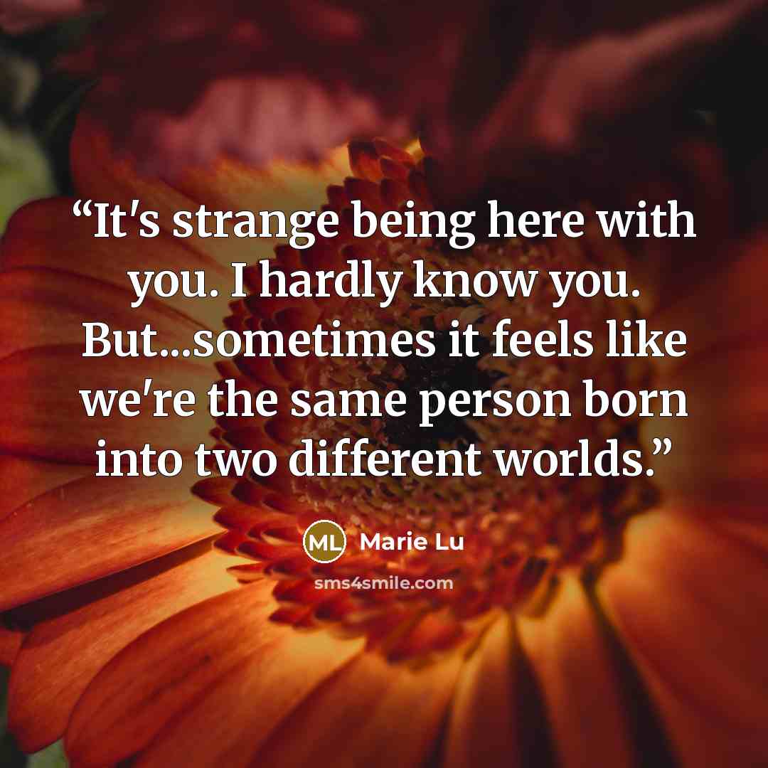 “It's strange being here with you. I hardly know you. But...sometimes it feels like we're the same person born into two different worlds.” quote by Marie Lu