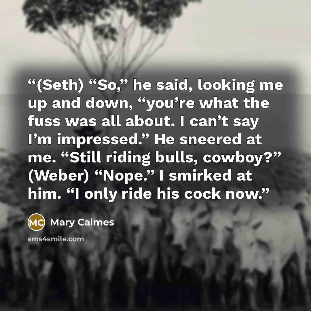 “(Seth) “So,” he said, looking me up and down, “you’re what the fuss was all about. I can’t say I’m impressed.” He sneered at me. “Still riding bulls, cowboy?” (Weber) “Nope.” I smirked at him. “I only ride his cock now.” quote by Mary Calmes