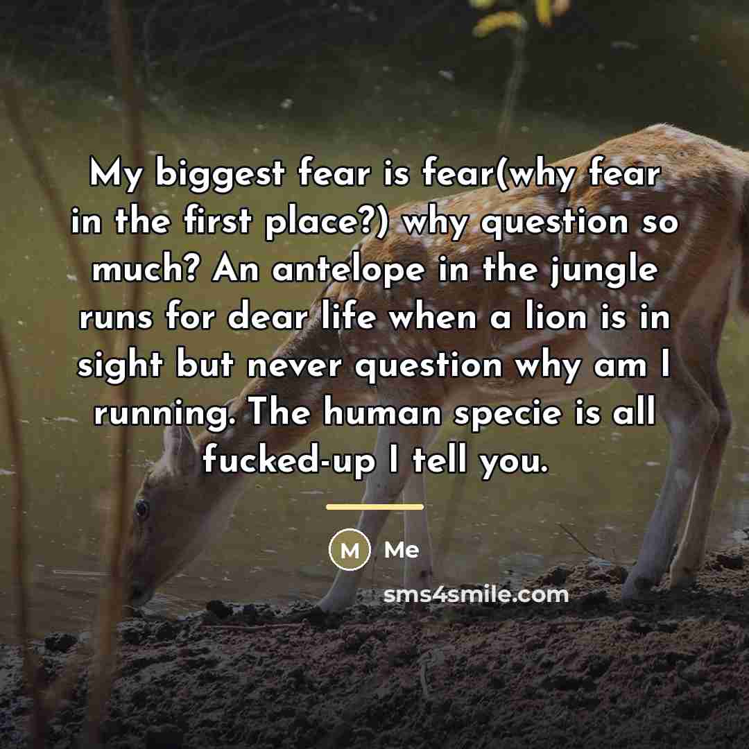 “My biggest fear is fear(why fear in the first place?)…” quote by Me