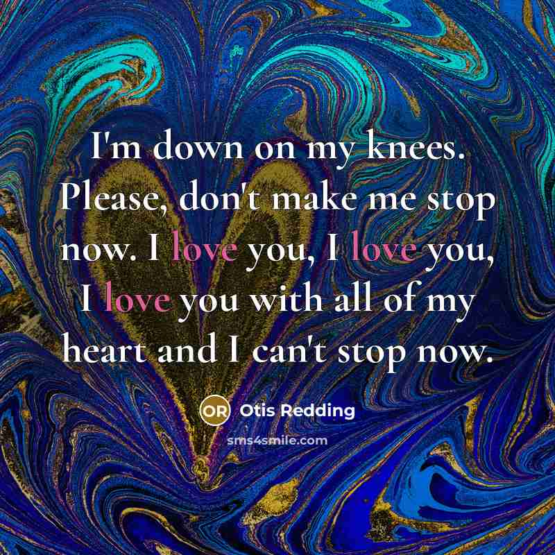 “I'm down on my knees. Please, don't make me stop now. I love you, I love you, I love you with all of my heart and I can't stop now.” quote by Otis Redding