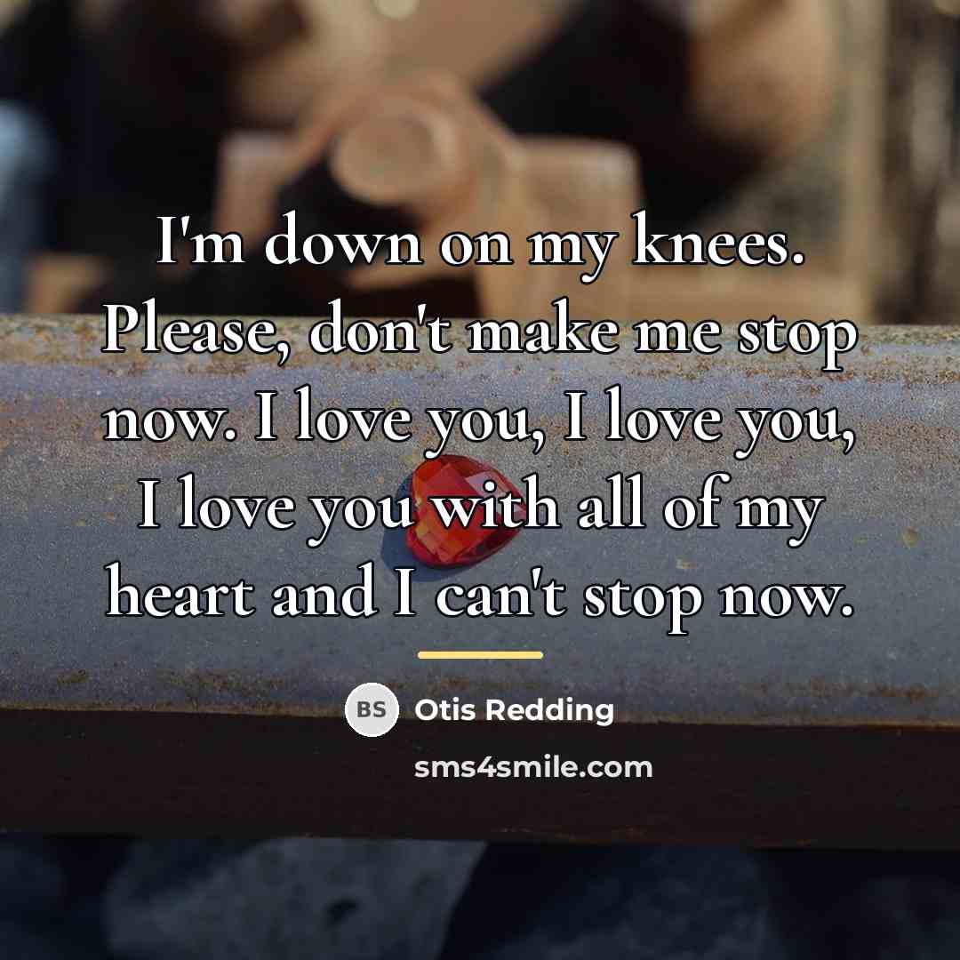 “I'm down on my knees. Please, don't make me stop…” quote by Otis Redding
