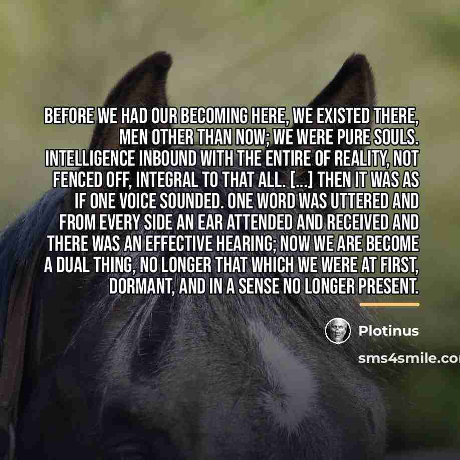 “Before we had our becoming here, we existed There, men…” quote by Plotinus