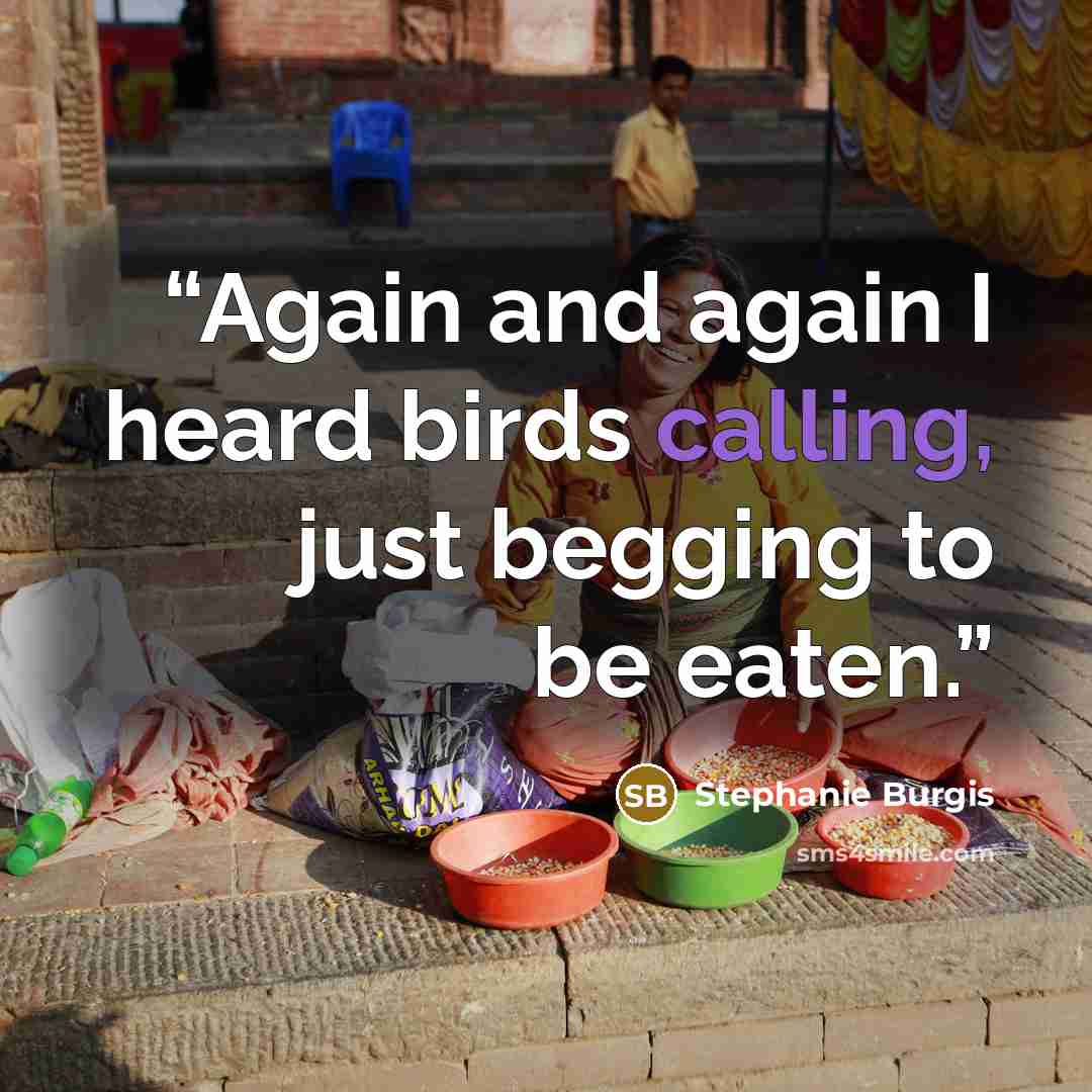 “Again and again I heard birds calling, just begging to be eaten.” quote by Stephanie Burgis