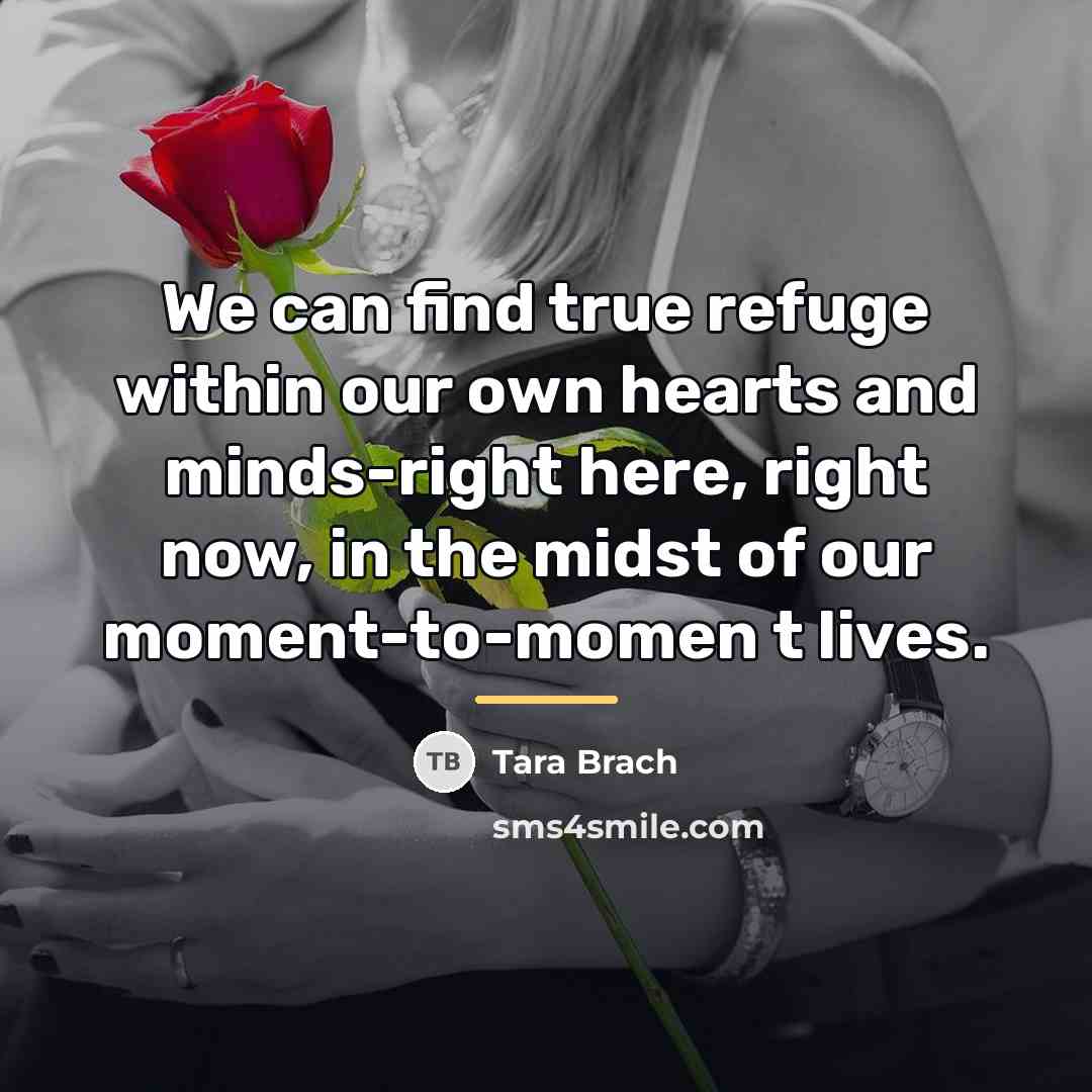 “We can find true refuge within our own hearts and…” quote by Tara Brach