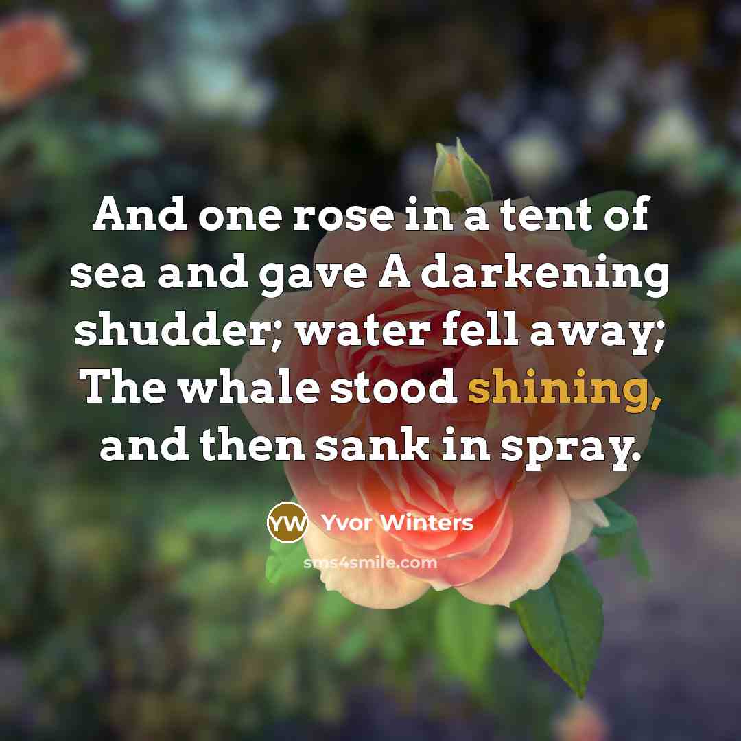 “And one rose in a tent of sea and gave…” quote by Yvor Winters