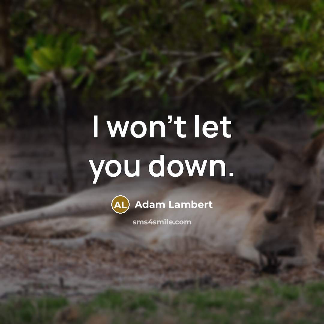 “I won't let you down.…” quote by Adam Lambert