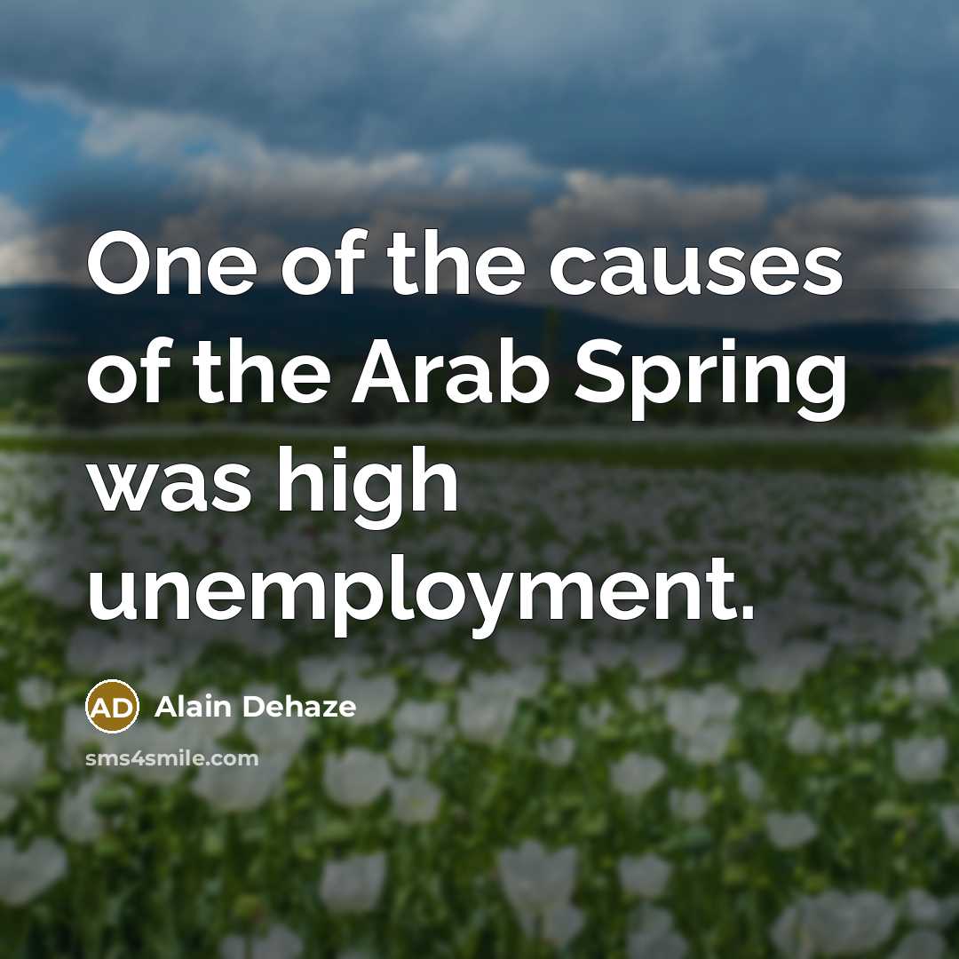 “One of the causes of the Arab Spring was high…” quote by Alain Dehaze